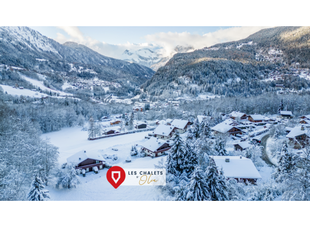 Immobilier neuf Les-Houches